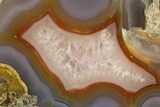 Polished Banded Laguna Agate Section - Mexico #323889-1